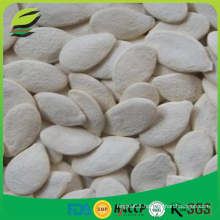 China bulk pumpkin seeds for europe